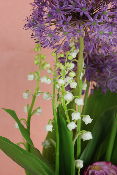 1er Mai - Composition de muguet et fleurs variées