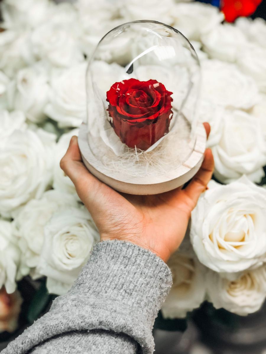 Rose éternelle sous cloche Saint-Valentin - La Fontaine Fleurie