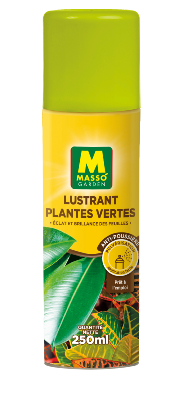 LUSTRANT PLANTES VERTES MASSO