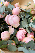 Bouquet de Pivoines