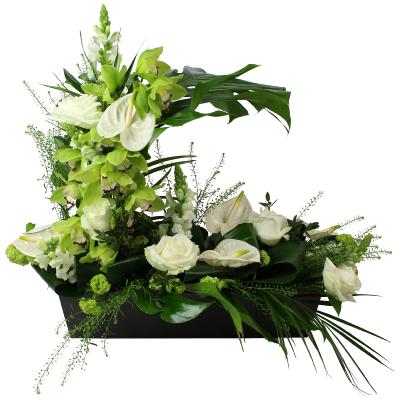 COMPOSITION D'ORCHIDÉES VERDURE 