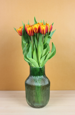 BOUQUET À LA BOTTE - Tulipes françaises