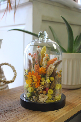 LÉO - Cloche de fleurs séchées