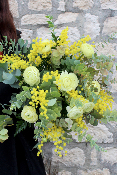 LIMA - Bouquet de fleurs mimosa