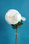 FLEUR ÉTERNELLE - Pivoine