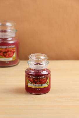 BOUGIE YANKEE CANDLE - 122g