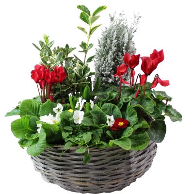 MAURICE - Coupe de fleurs en osier