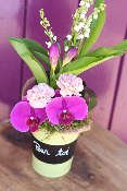 Composition avec brin de muguet et exotique