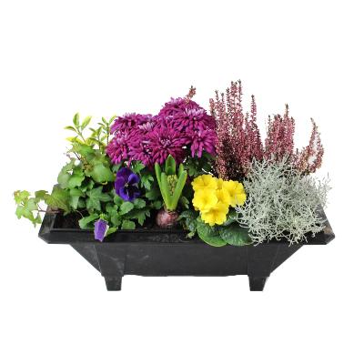 JARDINIÈRE DE FLEURS DE SAISON MAE