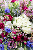 MONTPELLIER - Bouquet de Fleurs Bleu Blanc Rouge