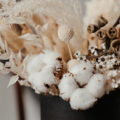 Nos bouquets de fleurs séchées