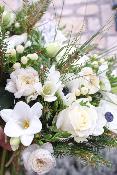 LAPONIE - Bouquet de fleurs blanches