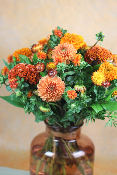 ORANGE - Bouquet monochrome orange