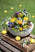 AVIGNON - Bouquet de chardons et roses