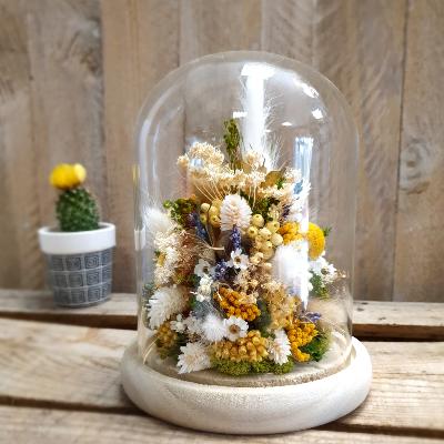 Nos cloches de fleurs séchées
