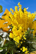 Bouquet du Midi 