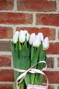 Fête des Grands-Mères -Composition de tulipes, jonquilles et rose