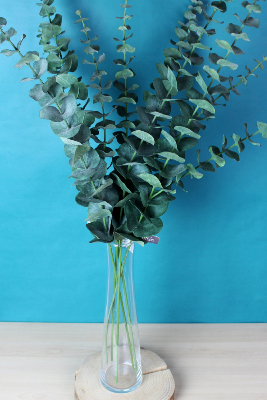 FLEUR ÉTERNELLE - Eucalyptus