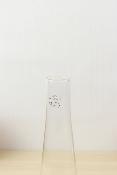 Soliflore en verre (MICA)