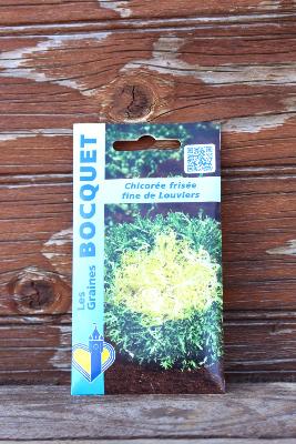 GRAINE À PLANTER - Chicorée frisée fine de Louviers