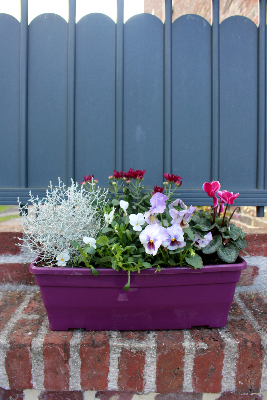 JARDINIÈRE DE FLEURS DE SAISON ROLL