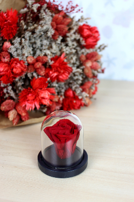 SAINT-VALENTIN - Mini cloche de rose éternelle