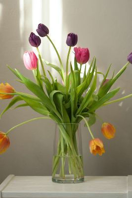 BOUQUET À LA BOTTE - Tulipes françaises