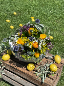 AVIGNON - Bouquet de chardons et roses
