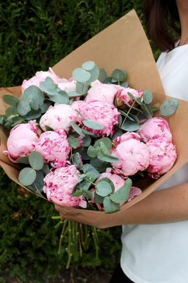 Bouquet de Pivoines