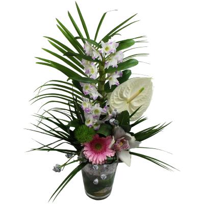 COMPOSITION DE DENDROBRIUM ET ROSES