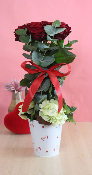 MANON - Composition de roses rouges dans son pot blanc et cœur 