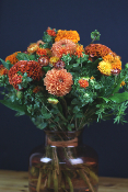 ORANGE - Bouquet monochrome orange