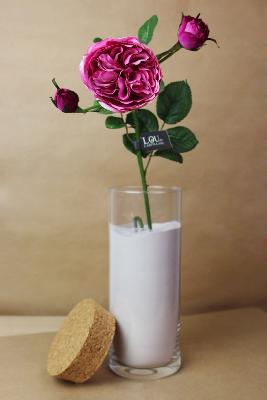 FLEUR ÉTERNELLE - Rose