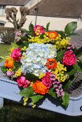 POISSON - Bouquet astrologie