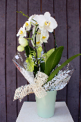 Fête des Mères - Orchidée blanche décorée