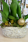 NOËL - Composition d'orchidées panier doré