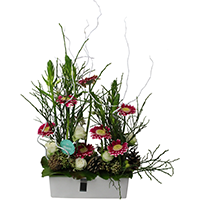 COMPOSITION DE FLEURS JUNGLE ORIGINALE
