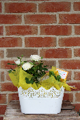 Fête des Grands-Mères - Composition avec mini rosier et narcisses