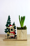 NOËL - Petite décoration avec jacinthe