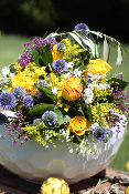 AVIGNON - Bouquet de chardons et roses