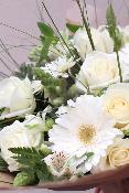 MONTCHATON - Bouquet de fleurs blanches