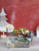 NOËL - Buche de jacinthes givrées