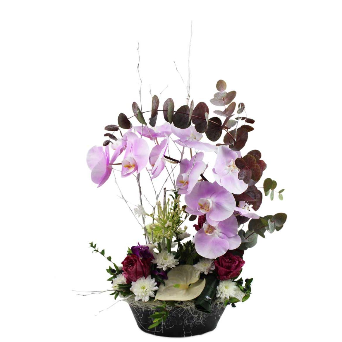 Grande Composition d'Orchidées Roses Automnale - La Fontaine Fleurie