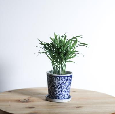 Pots et cache-pots