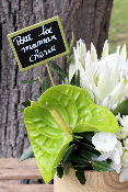 Fête des Mères - Composition de fleurs blanches et vertes