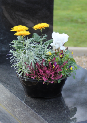 MOUNTAIN - Coupe de fleurs