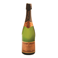 BOUTEILLE DE CHAMPAGNE BRUT 