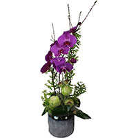 COMPOSITION ORCHIDÉES & ROSES VARIÉES