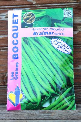 GRAINE À PLANTER - Haricot nain mangetout Braimar sans fil