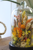 LÉO - Cloche de fleurs séchées